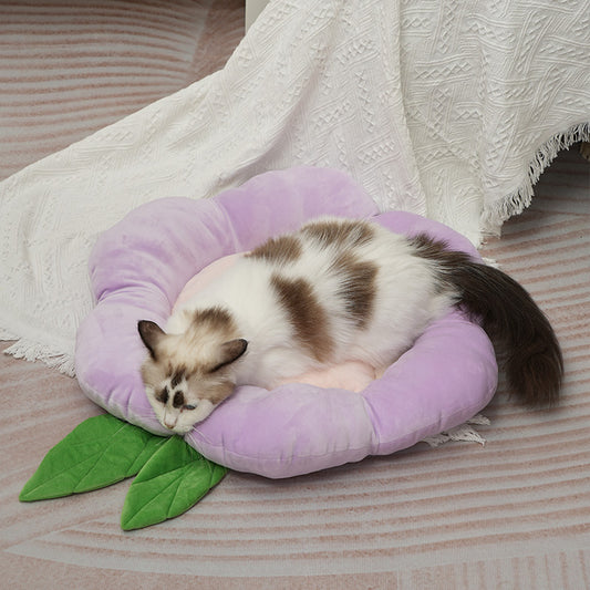 Floral bed-Lilac purple