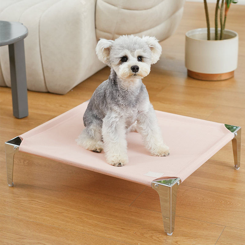 Cooling elevated pet bed