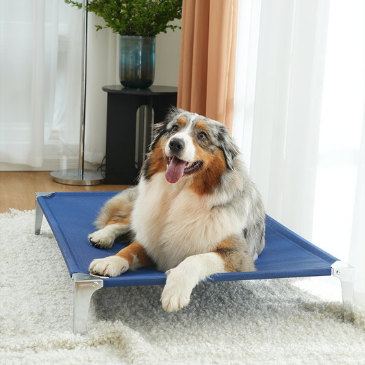 Cooling elevated pet bed