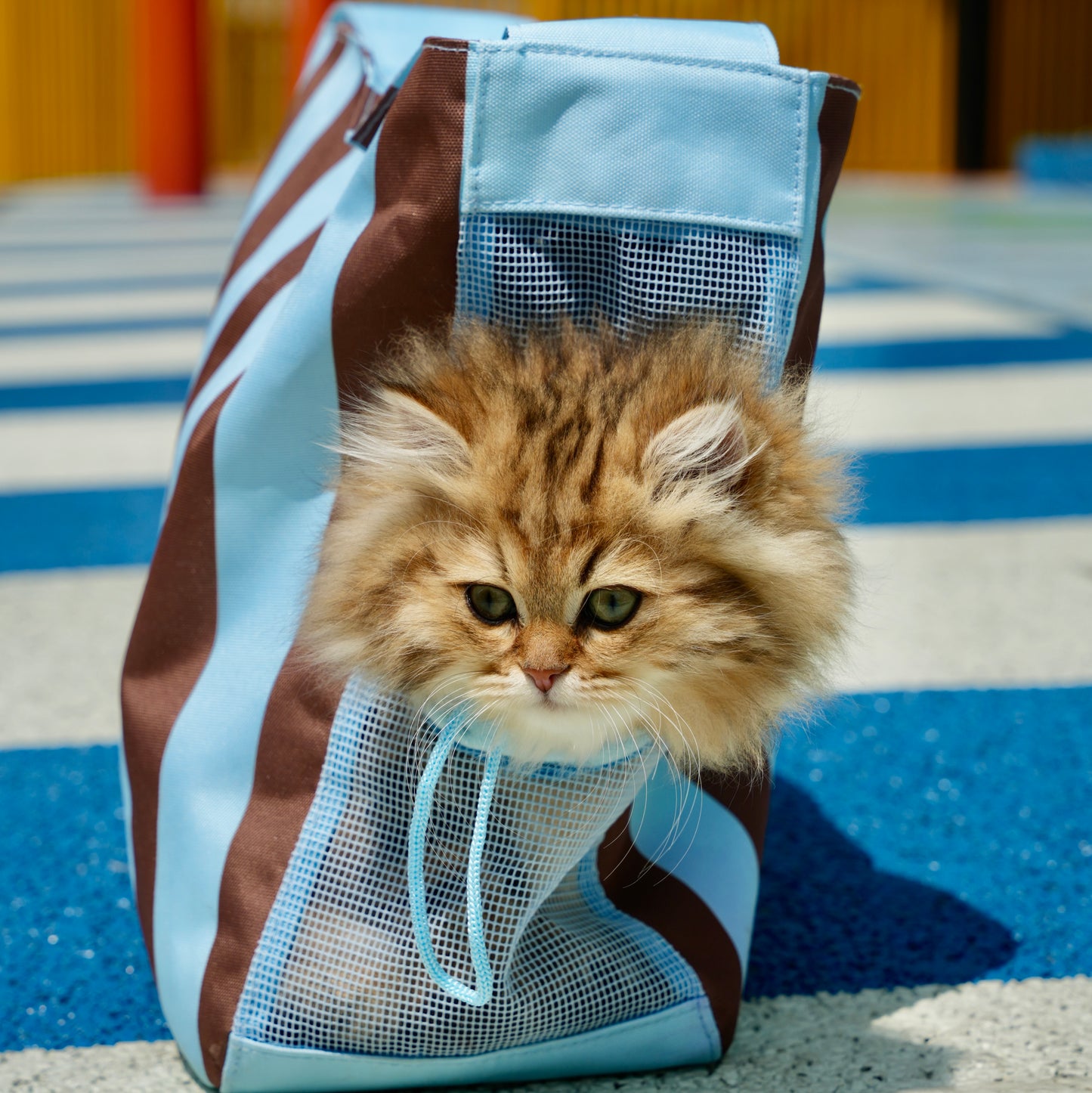 Lightweight striped  pet backpack-Striped Blue