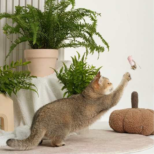 Insect series retractable cat-teasing stick-Pinkmoth