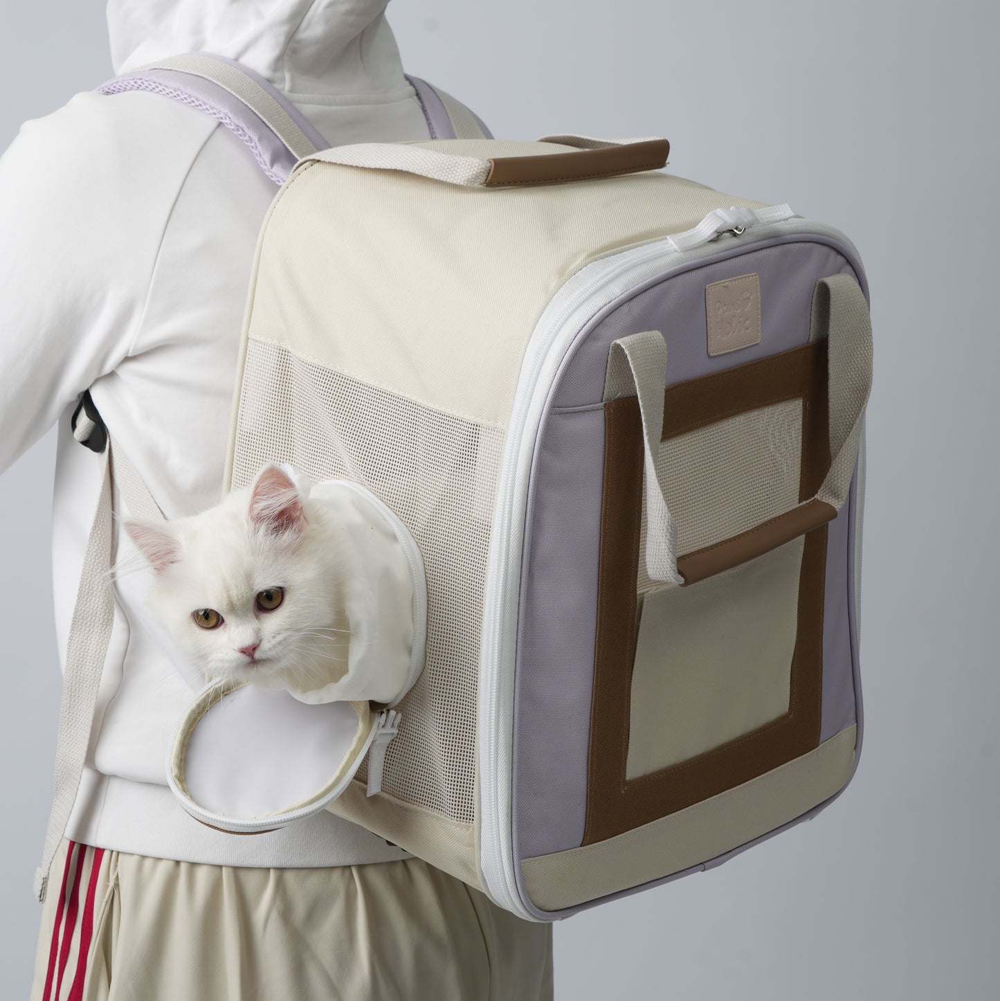 Little color box Pet backpack-Taro purple