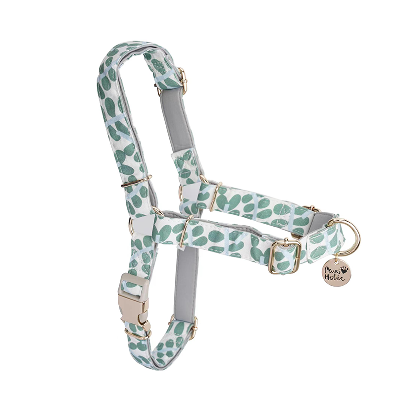 Pulling Stop Dog Harness-Minty Dew