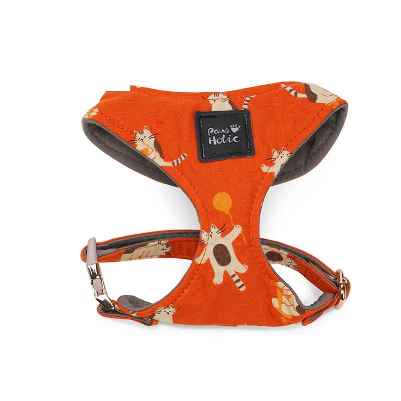 Harness-Little Raccoon-For Dog