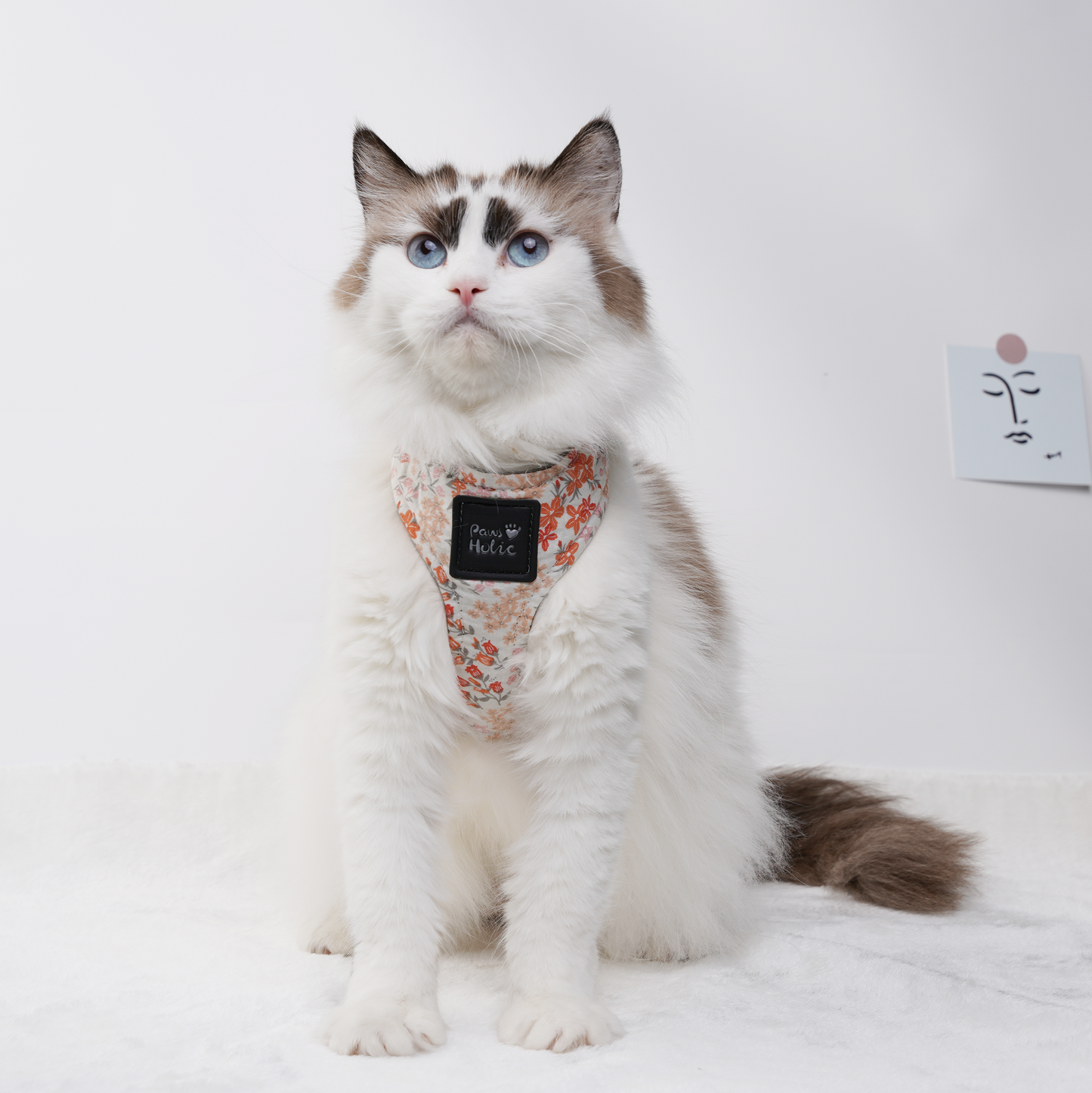 Harness-Orange Blossom-For Cat