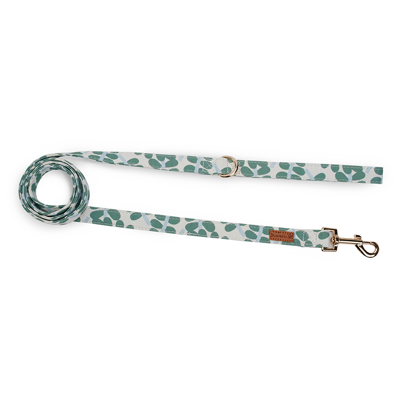 Dog collar-Minty Dew