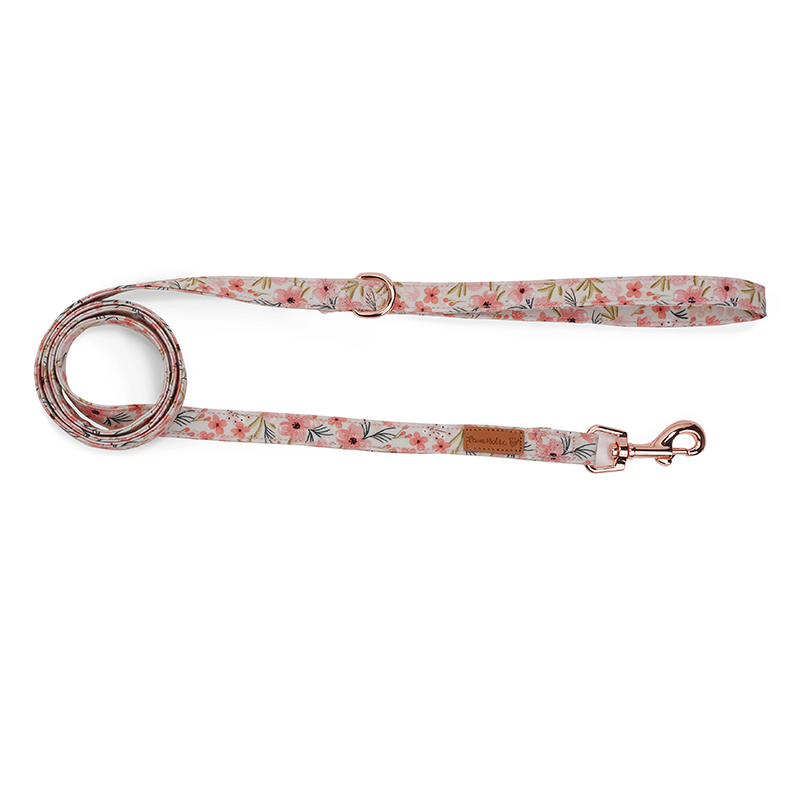 Dog collar-Cherry Blossoms