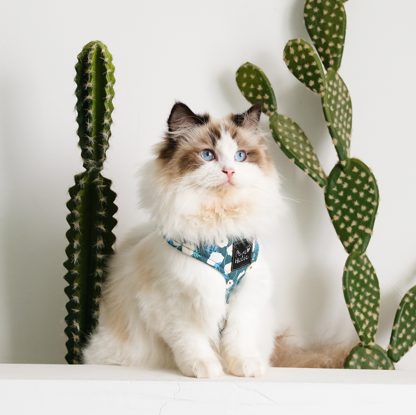 Harness-Camellia-For Cat