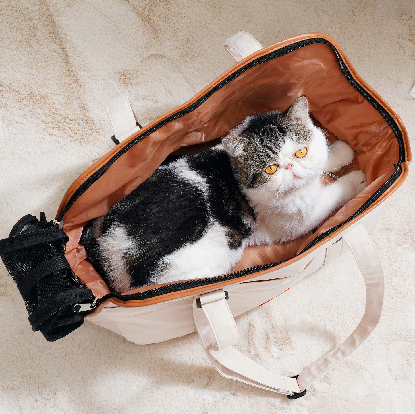 Pet tote bag-for cat