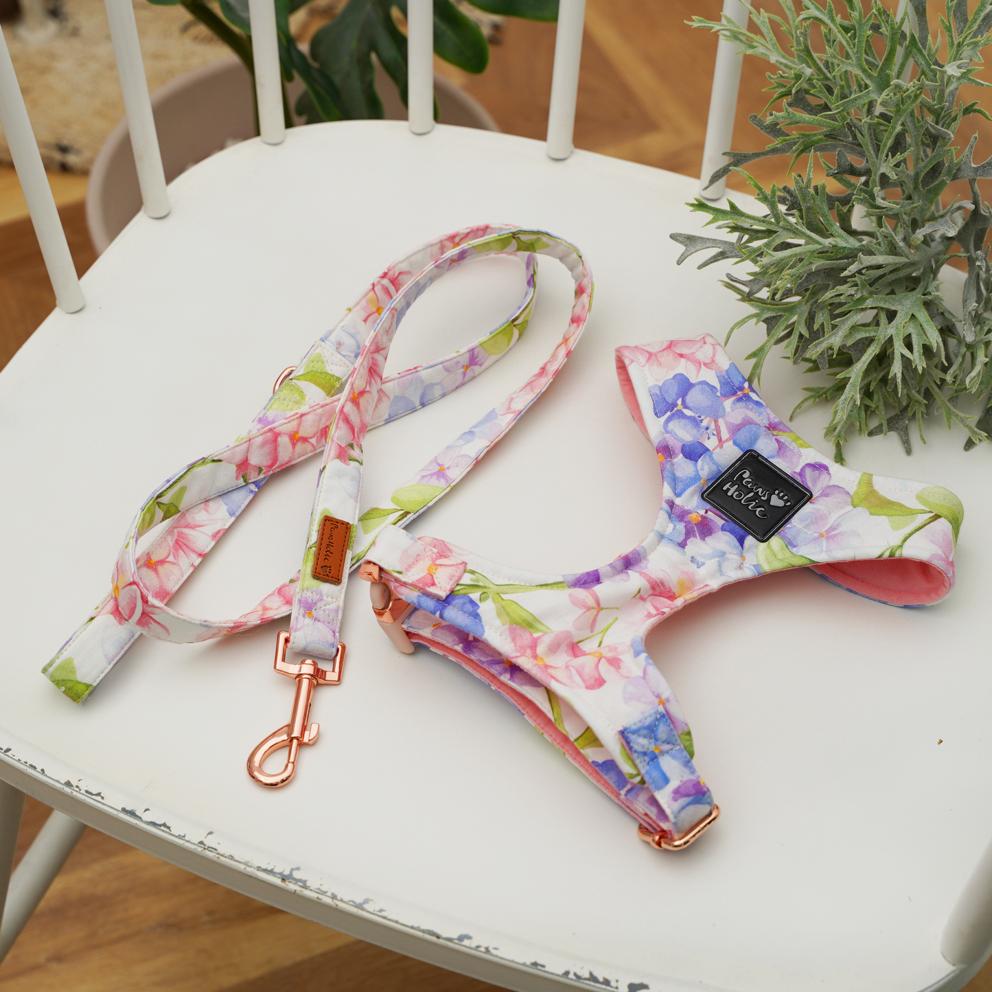 Harness-Endless Summer-For Dog