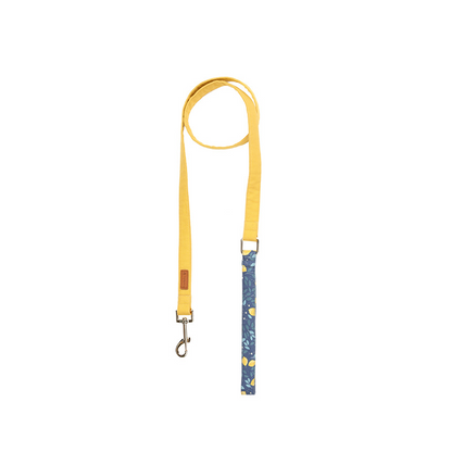 Dog collar-Lemon Tree