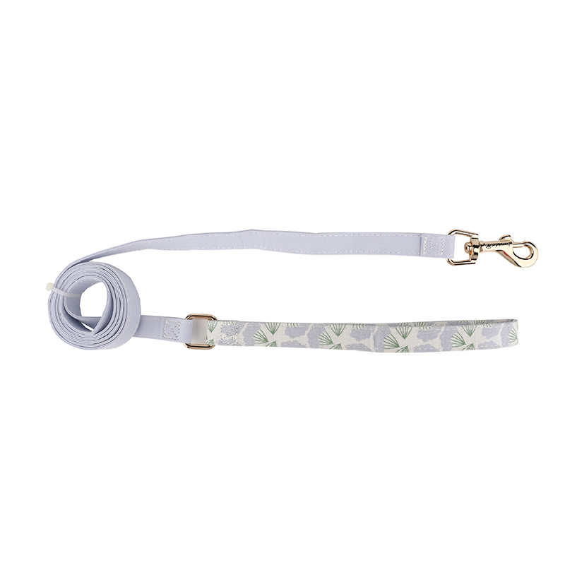 Dog collar-Dandelion