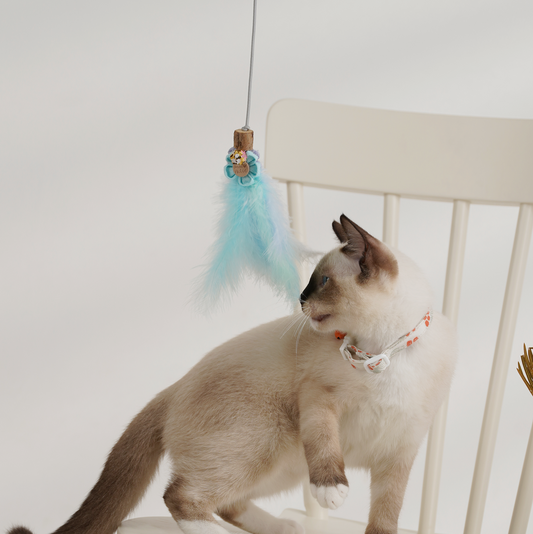 Hand made cat teaser – Mint feather