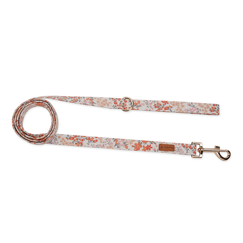 Harness-Orange Blossom-For Cat