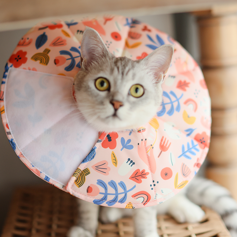 Multi-use Elizabethan circle-For Cat