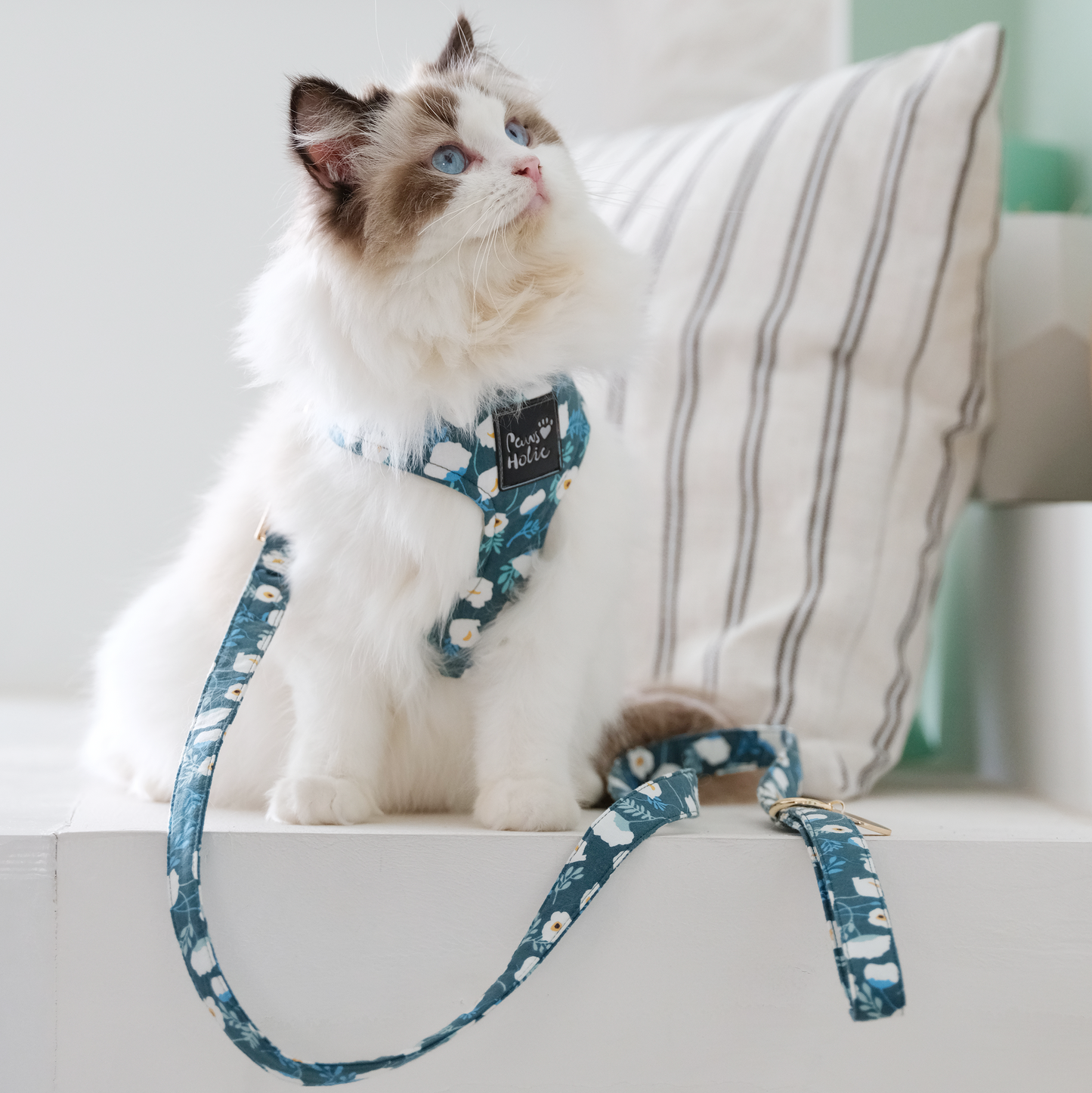 Harness-Camellia-For Cat