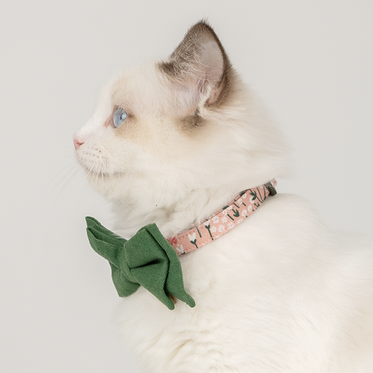 Cat collar-Pink Candy