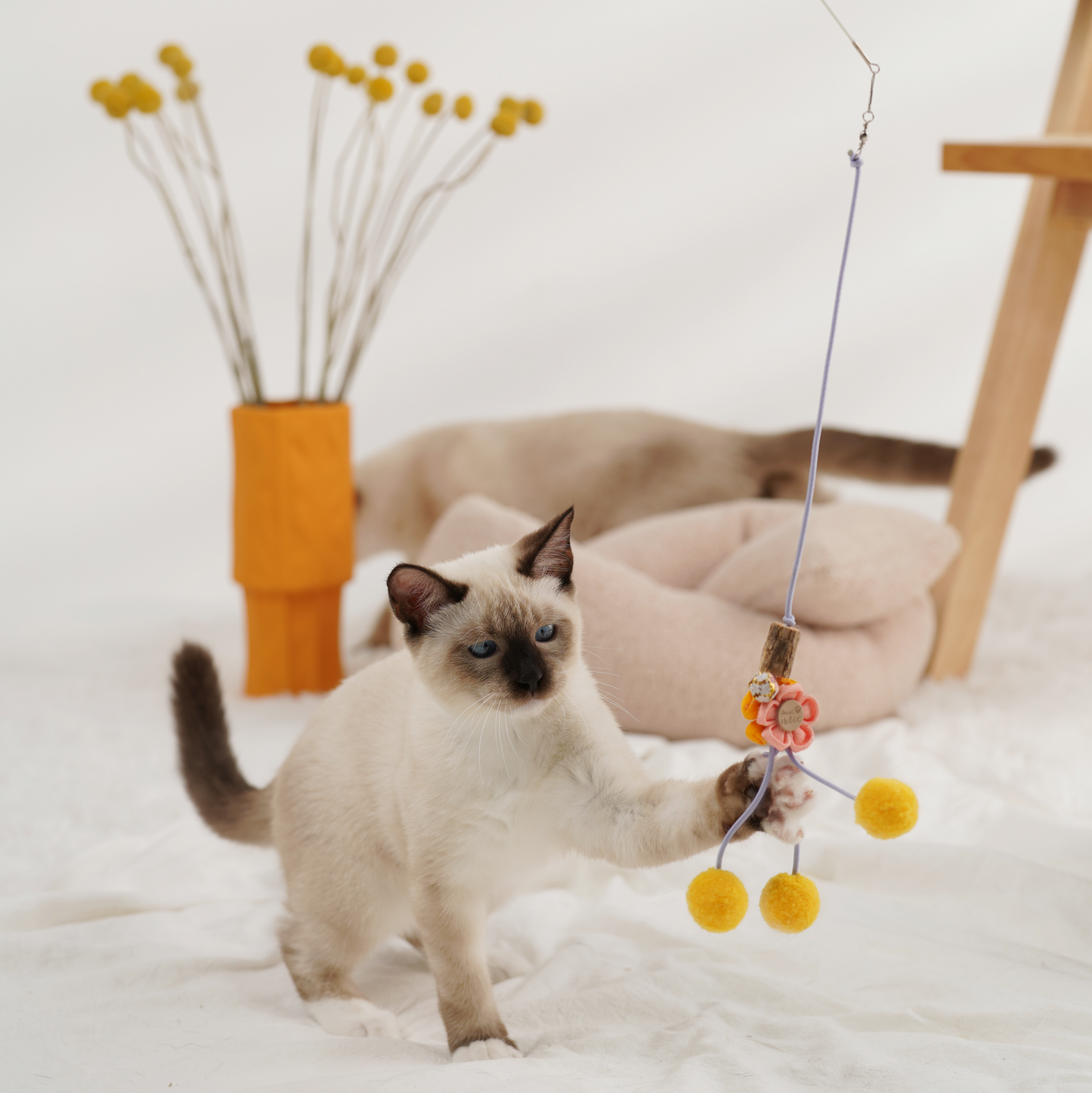 Hand made cat teaser – Yellow ball