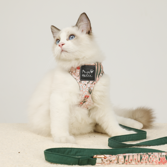 Harness-Pink Candy-For Cat