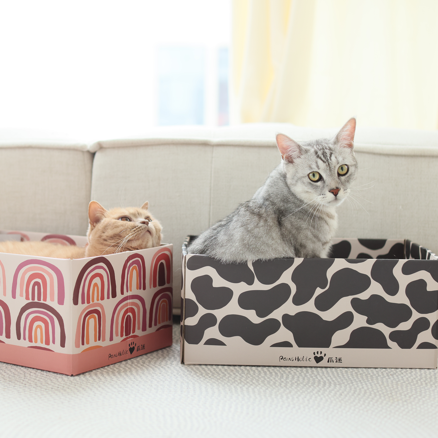 CAT BOX WITH SCRATCH BOARD