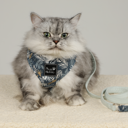 Harness-Blue Leaf-For Cat