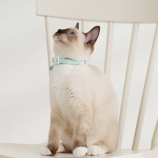 Cat collar-Snow Hare