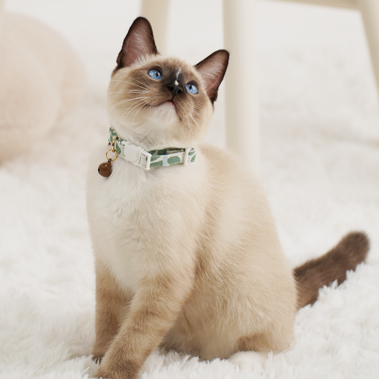 Cat collar-Minty Dew