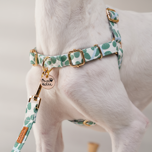 Pulling Stop Dog Harness-Minty Dew