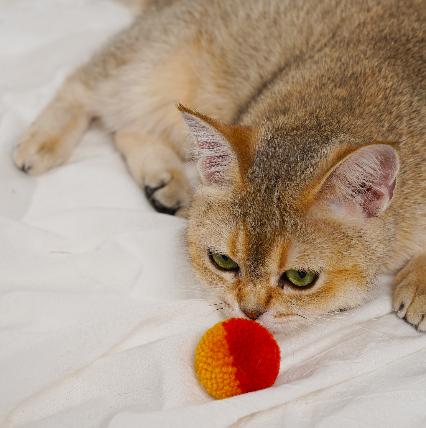 Quiet Yarn Ball