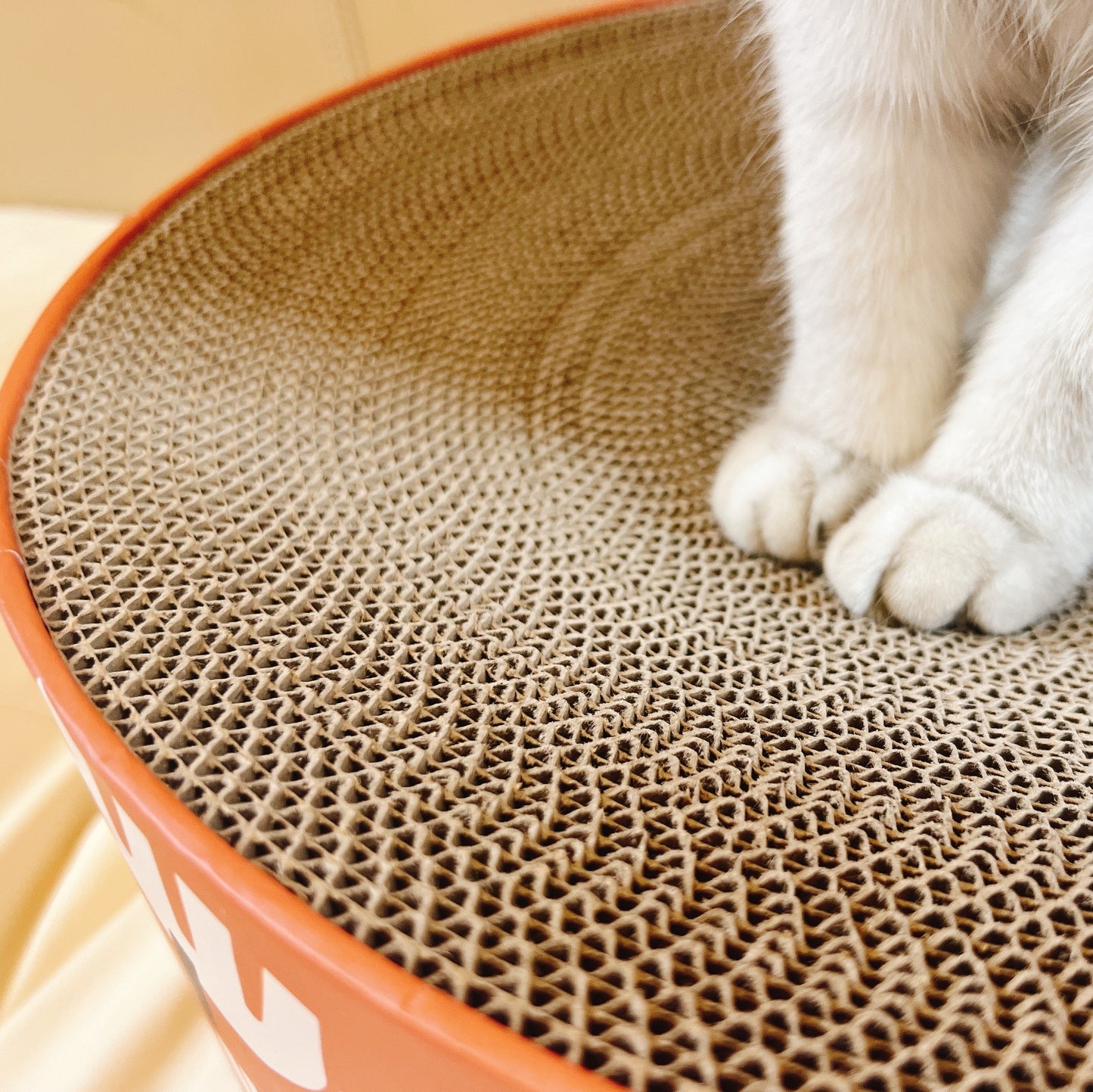 CAT BOW TYPE SCRATCHER