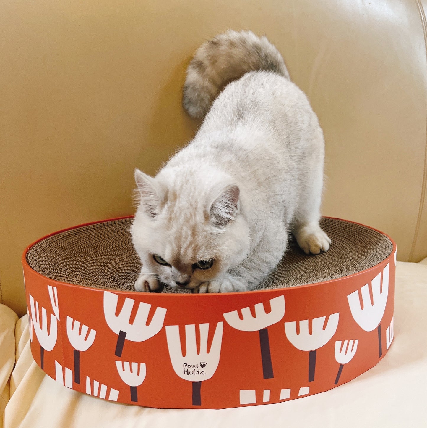 CAT BOW TYPE SCRATCHER