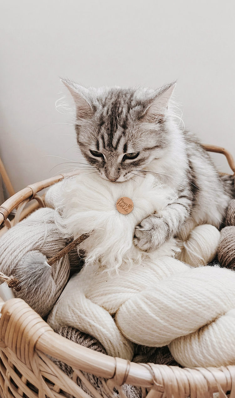 Original Pet Toys